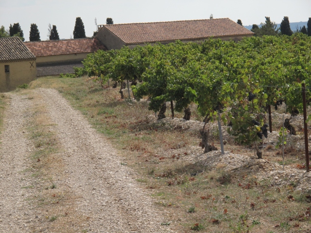 Côtes du Rhône néo vignerons 078