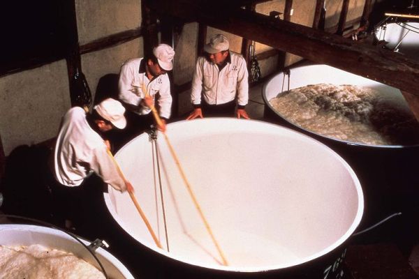 3. Moromi, la fermentation principale du saké. Photo DR
