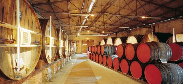 vinification-mutage-elevage-et-vieillissement-banyuls-1038x480
