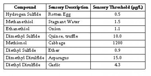 sensory-thresholds